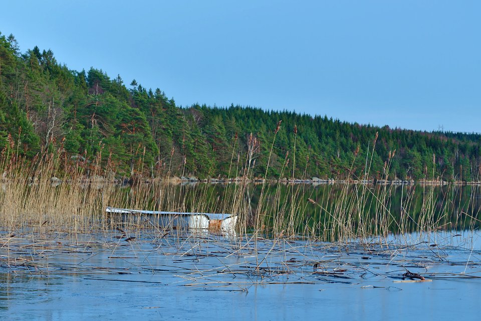 Tranquil, Water, Peaceful