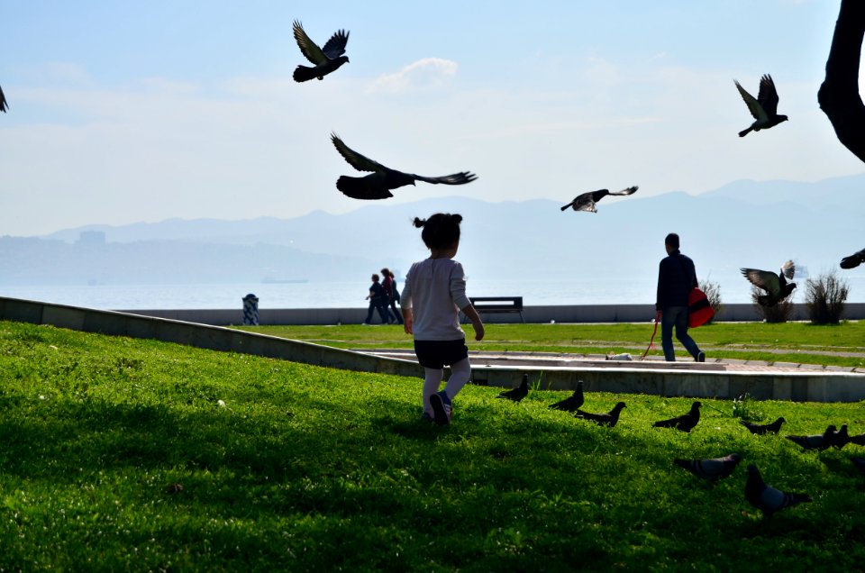 Izmir, Turkey, Grass