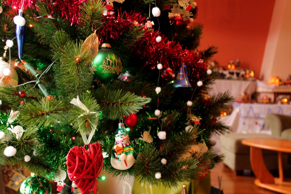 France, Christmas tree, Green