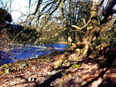 Auchincruive, United kingdom, Branches