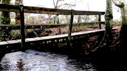 South brent, United kingdom, Stream