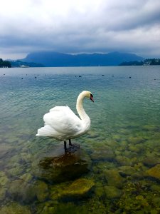 Switzerl, Lucerne, Lake photo