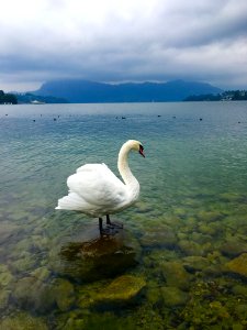 Switzerl, Lucerne, Lake