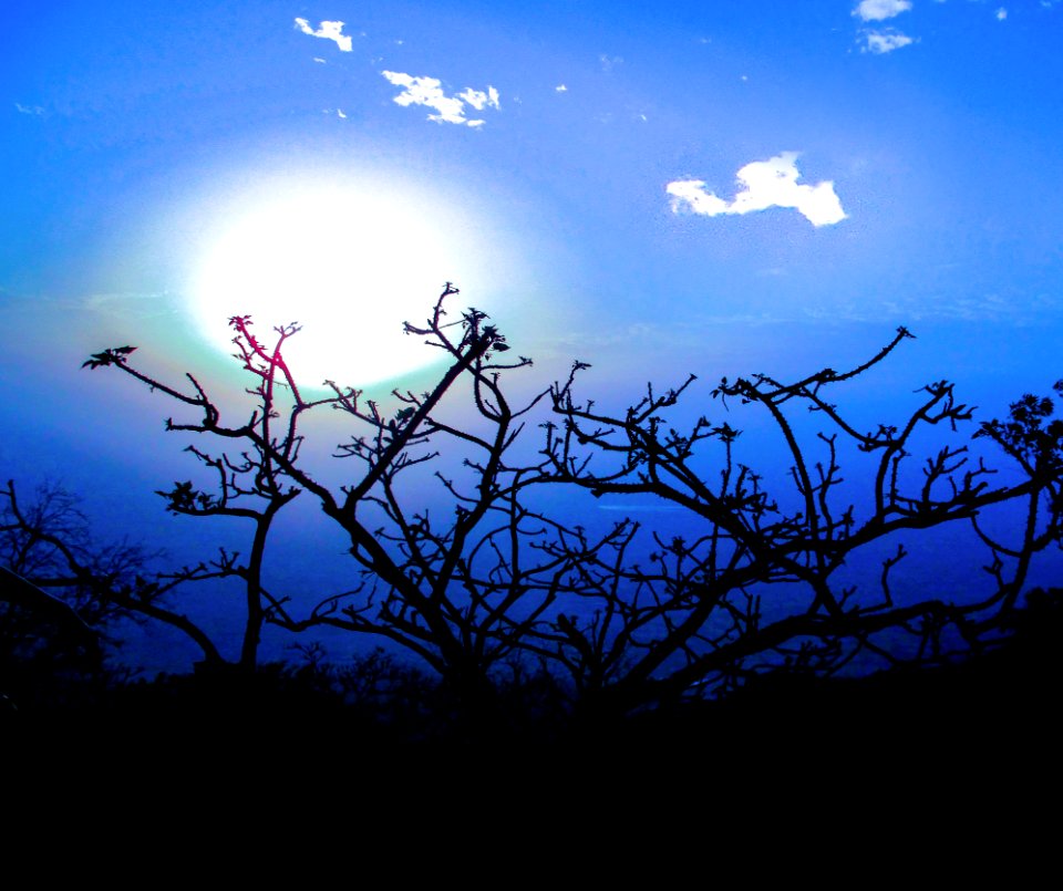 Mount abu, India, Cold