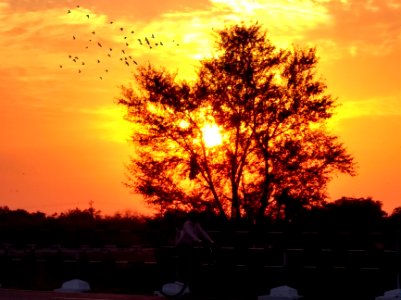 India, Hinagar, Gujarat photo