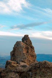 Gran canaria, Spain, Forest photo