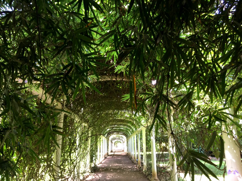 Rio de janeiro, Brasil