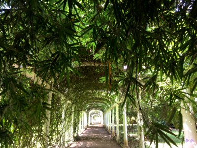 Rio de janeiro, Brasil photo