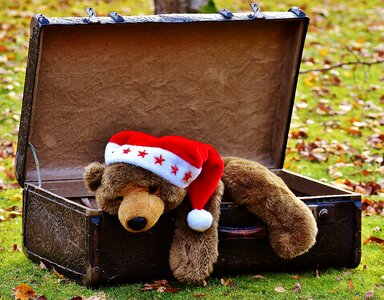 Teddy soft toy stuffed animal