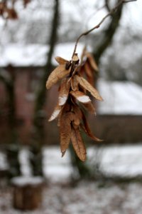 Waillet, Sommeleuze, Belgium