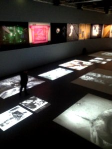 Palais de tokyo, Paris, Walking