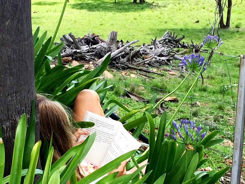Wood, Country, Reading