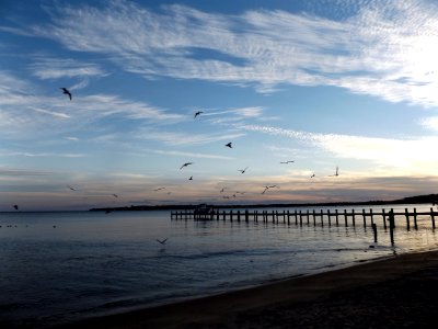 Chesapeake bay bridge, Annapolis, United states photo