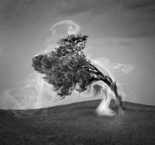 Three sky woman