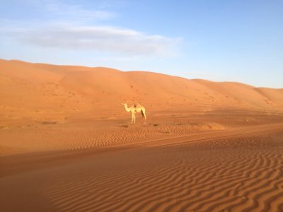 Wahiba Sand, Oman photo