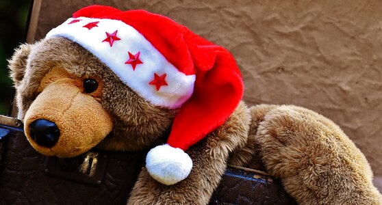 Teddy soft toy stuffed animal