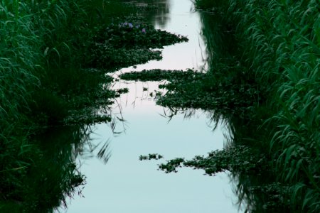 Fiumicino, Italia, Sewer