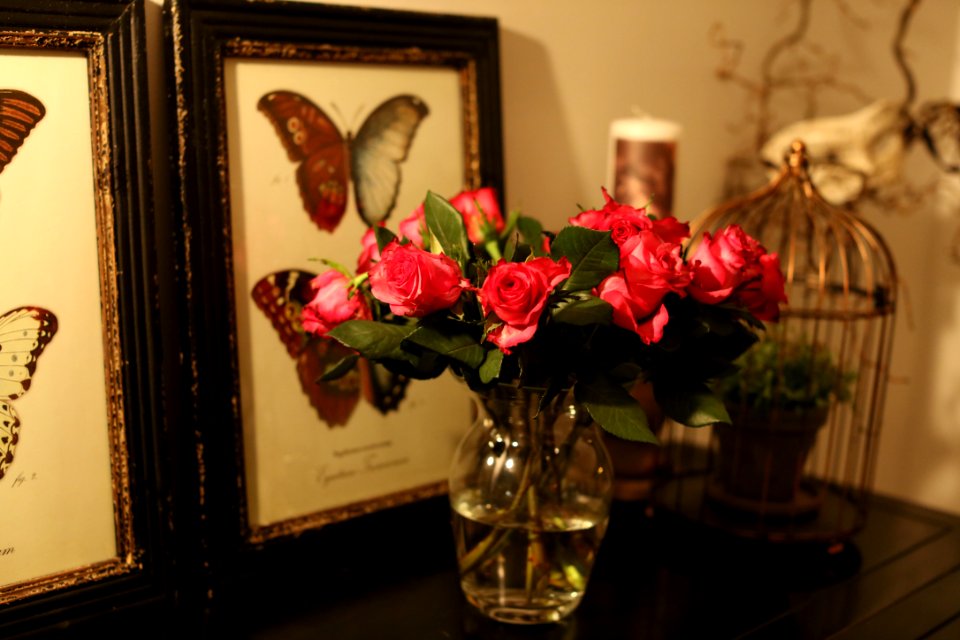 Romantic, Les, Picture