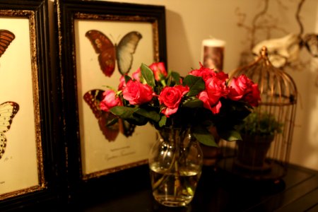 Romantic, Les, Picture