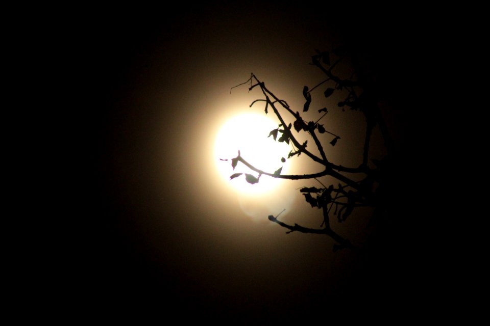 Kaliszki, Polska, Light