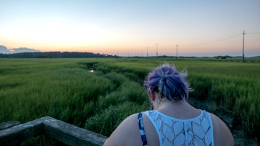 Daufuskie Island, United states, Portrait