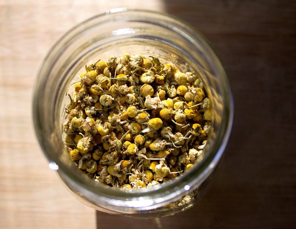 Herbal, Flowers, Chamomile