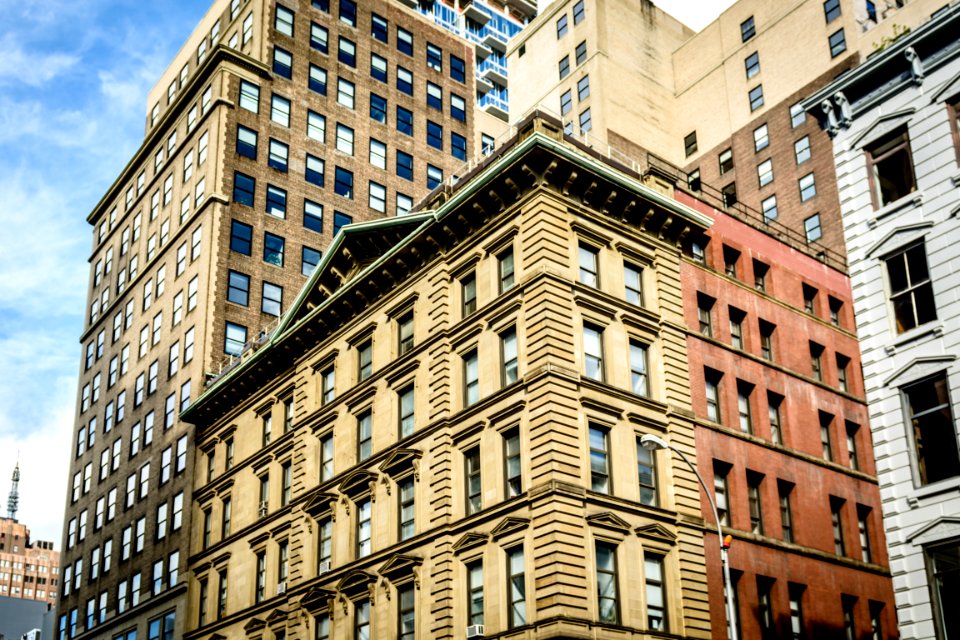New york, United states, Trees