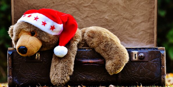 Teddy soft toy stuffed animal