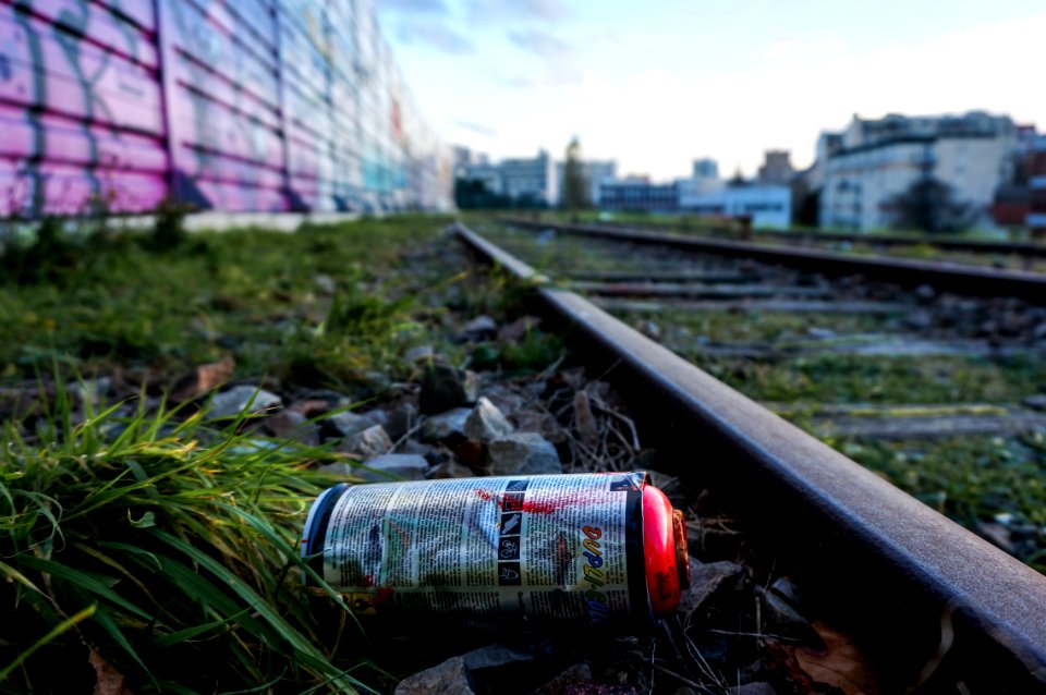 Petite ceinture, Paris, France