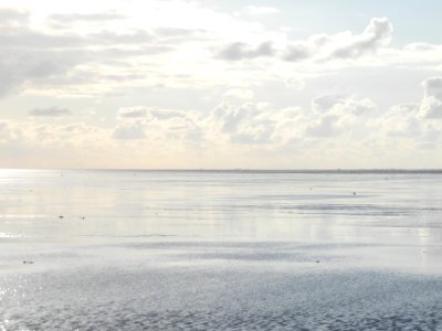 Germany, Water, Scape photo