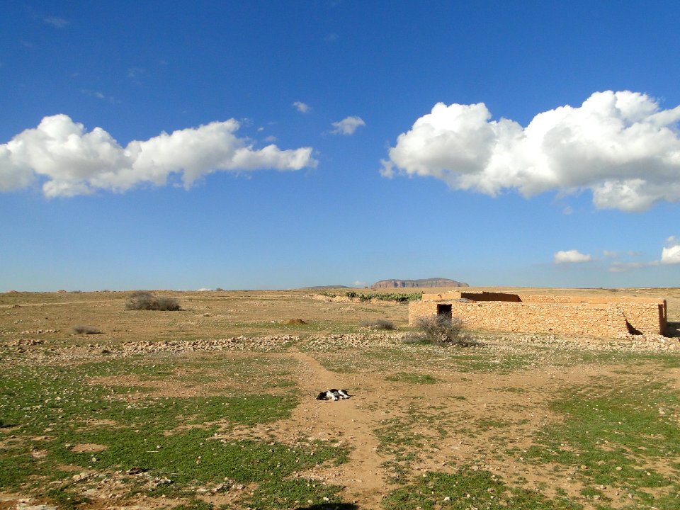 Morocco, El aoun sidi mellouk, El aioun