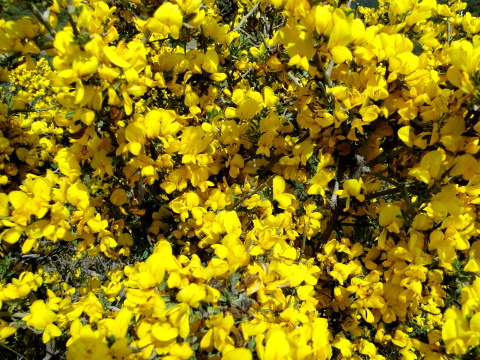 Aklim, Morocco, Tafoghalt