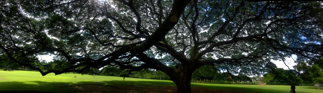 Moanalua gardens, Honolulu, United states photo