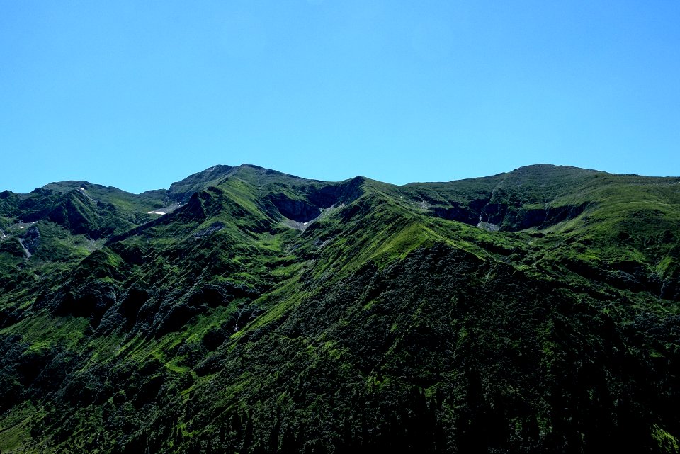 Romania, Transylvanian alps, Wild