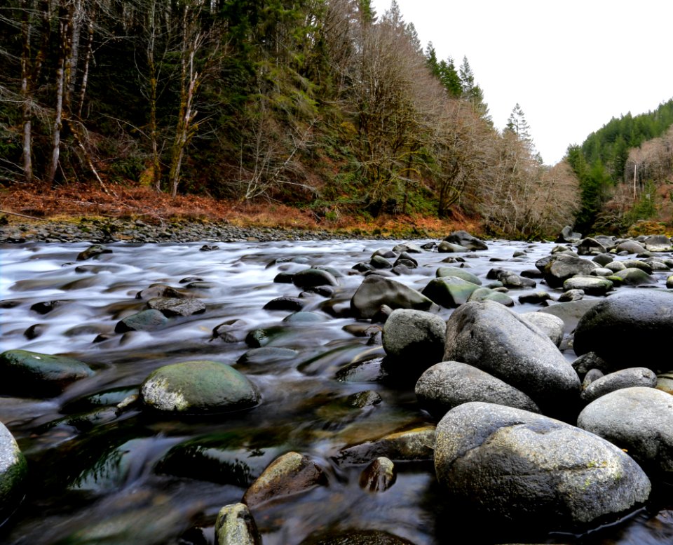 Jones creek campground, Tillamook, United states