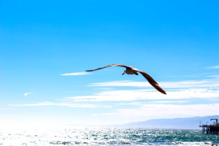 Santa monica, United states, Flying