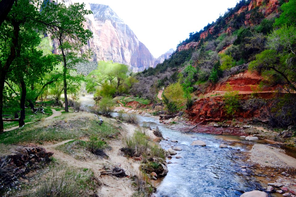 Zion national park, United states, National park