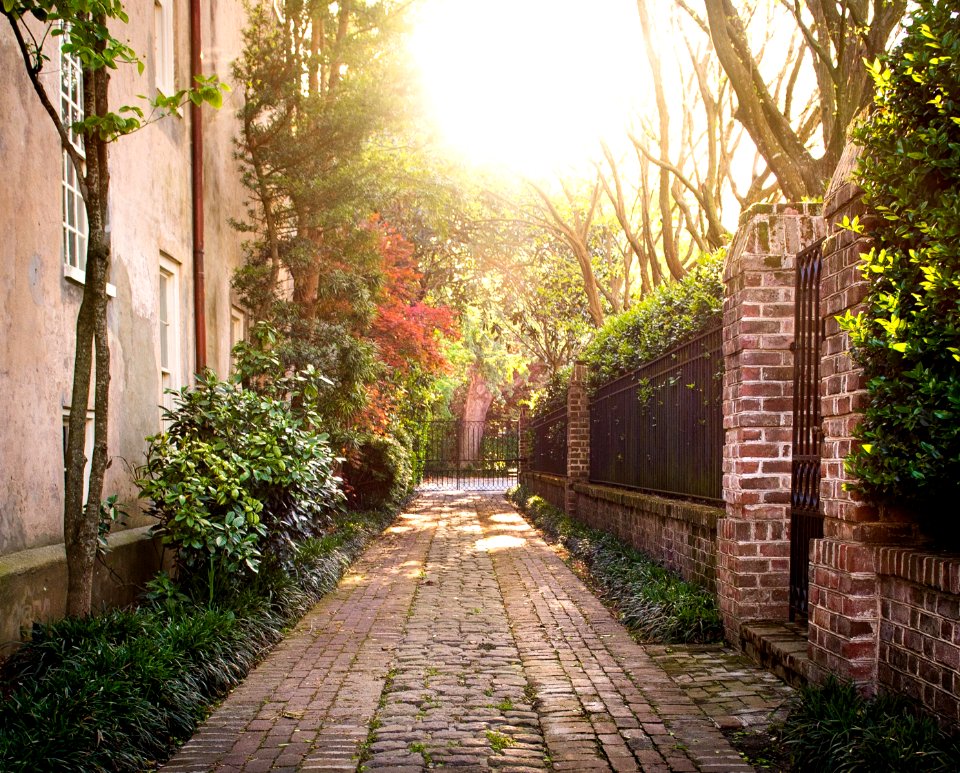 Charleston, United states, Springtime