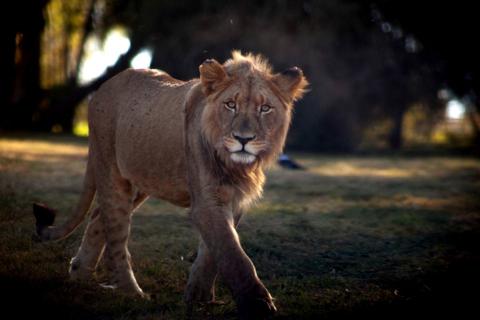 Johannesburg, South africa