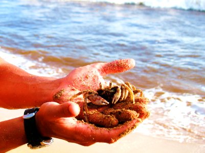 Kauai, United states, Pacific ocean photo