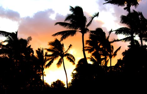 Kauai county, United states, Wind photo
