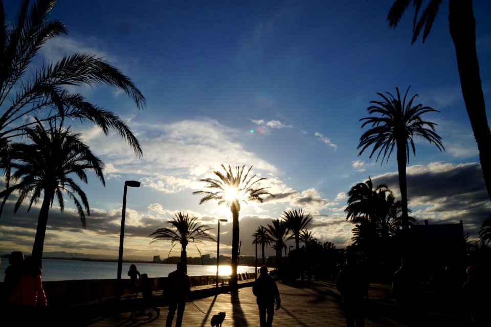 Spain, Roses, Clouds