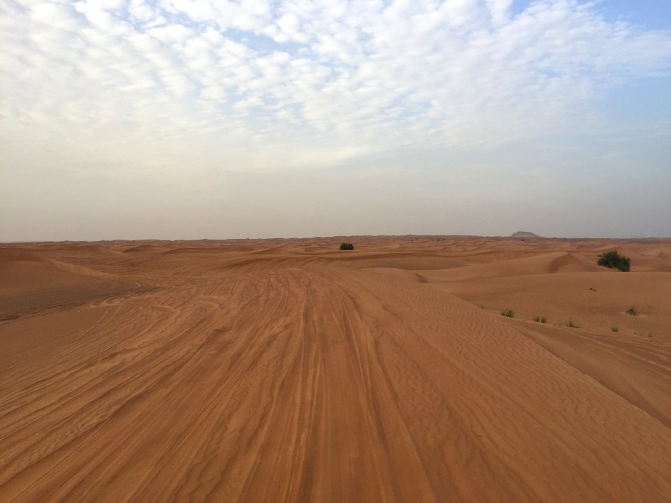 Dubai, United arab emirates