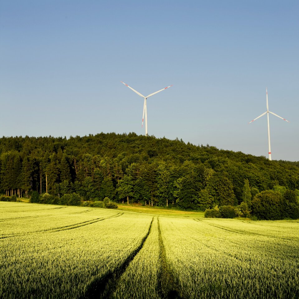 Wheat bavaria power generation