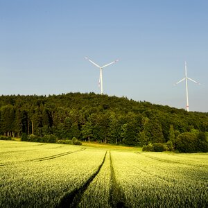 Wheat bavaria power generation