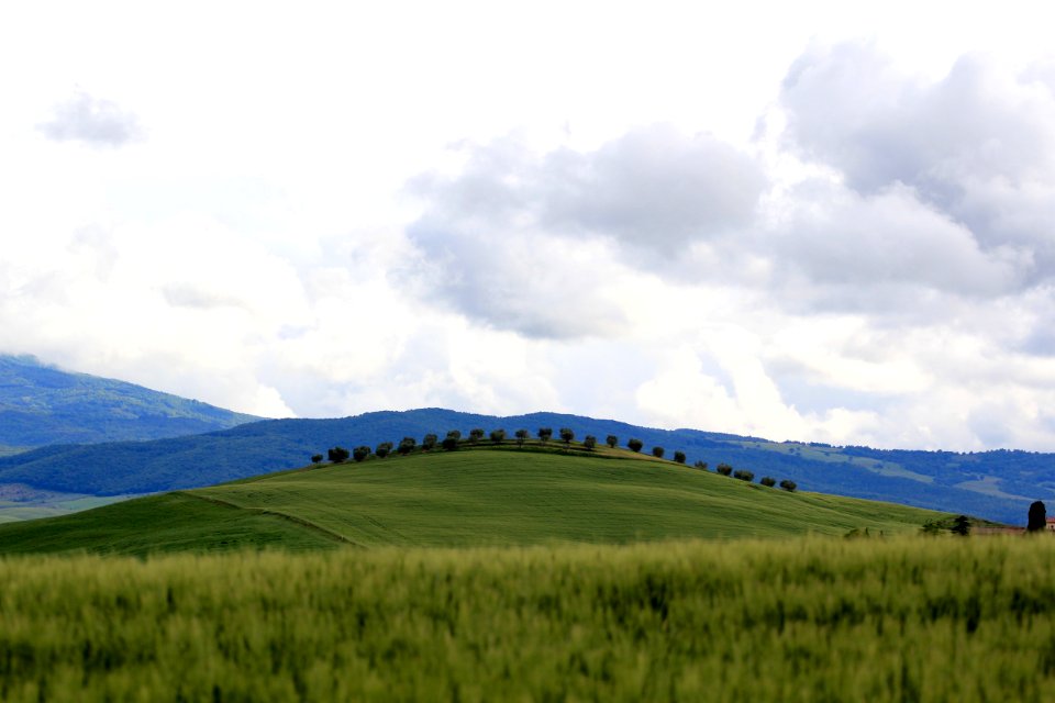 Italy, Val d orcia, Pienza