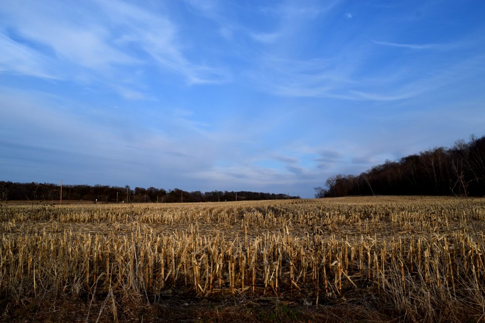 River falls, United states, Farm
