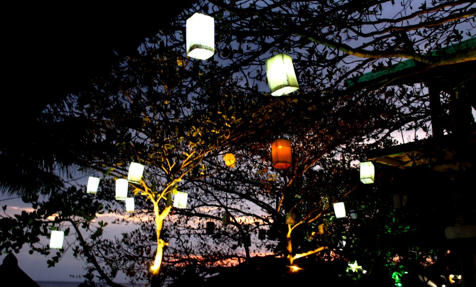 Philippines, Hk beach resort, Moalboal
