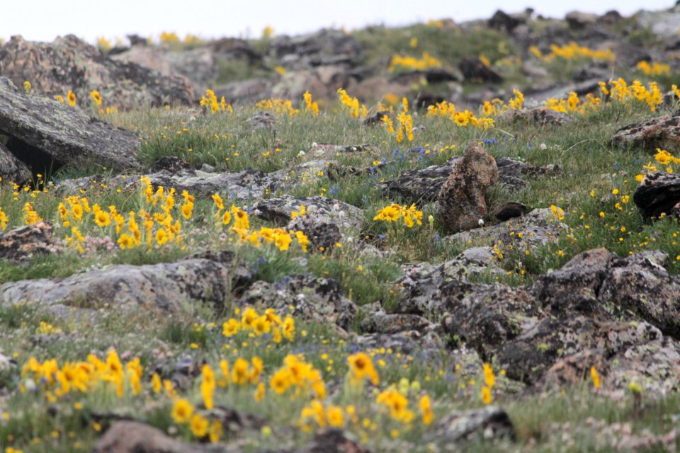 Rocky mountain national park, United states