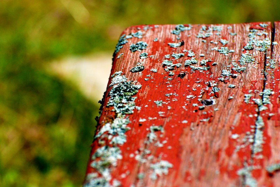 Canada, Blue, Rustic